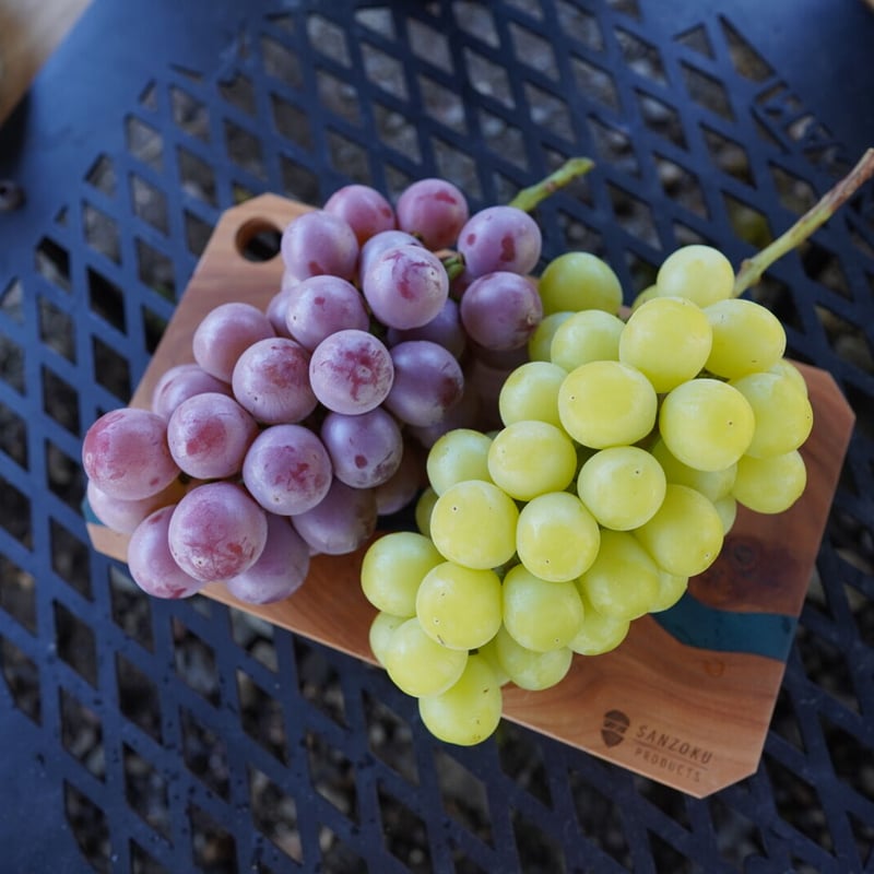 予約販売】【10月下旬以降～発送】【信州プレミアム】【シャインニーナ