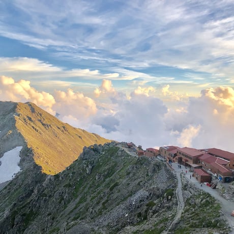 【予約販売】【8月中旬頃〜お届け】【子供も大好き】【パリッとジューシー】夏あかり 約1〜10kg  (3〜46玉) 【贈答レベル家庭用】【本州送料無料・クール便 】