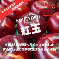 【予約販売】【10月上旬以降〜お届け予定】【まるでハチミツ完熟南高梅】【信州プレミアム】 紅玉  1〜13kg箱 【本州送料無料・クール便】