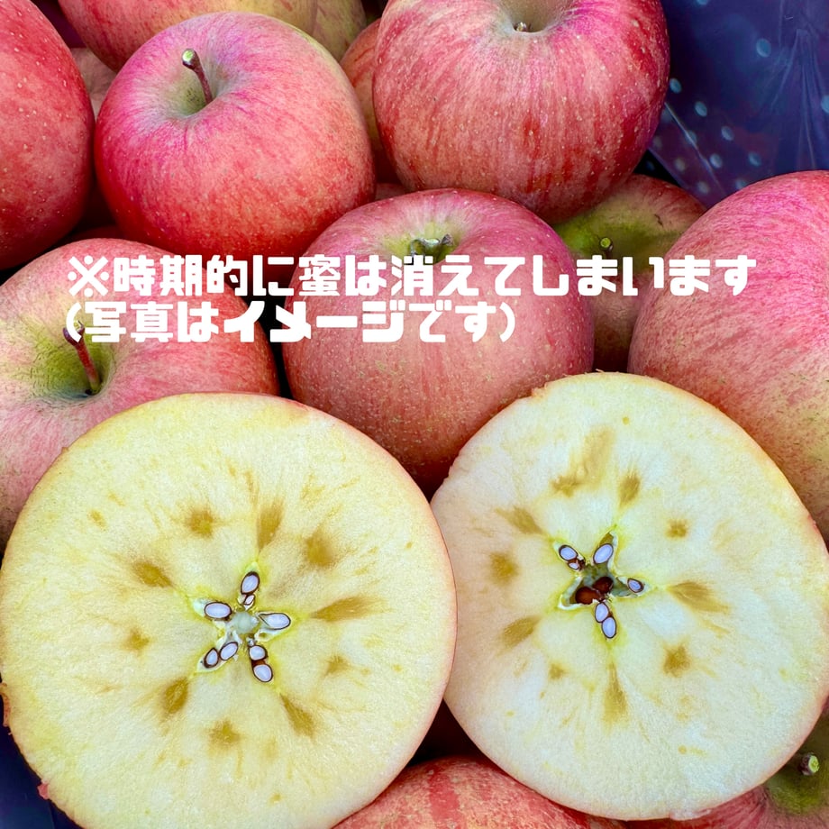 67d0257ea6f4f8fc72df9101