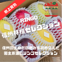 【信州プレミアム】【3月12日～随時発送】【アナタをイメージして園主厳選3種類以上】【信州林檎セレクション】約1〜10kg箱 【本州送料無料】