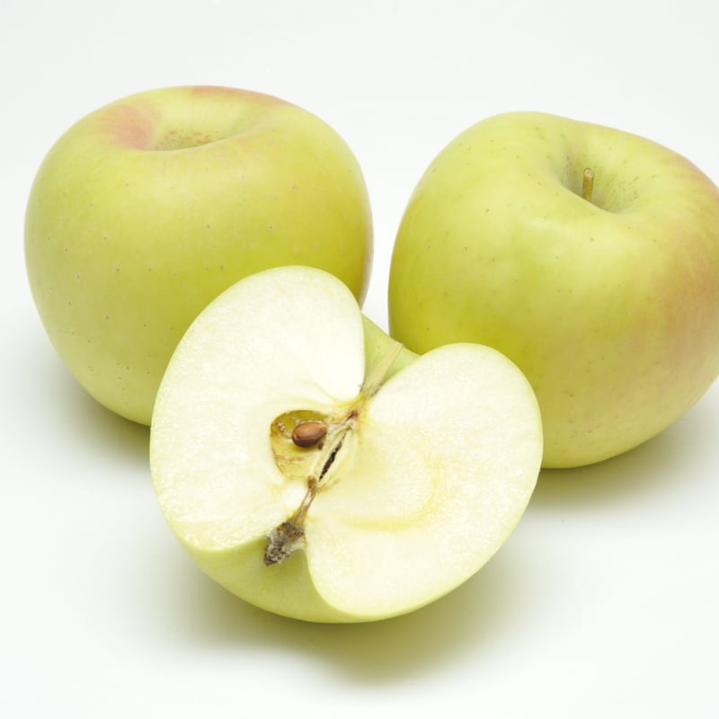 マツコの知らない世界】【12月下旬〜から順次発送】【ジューシーすぎる