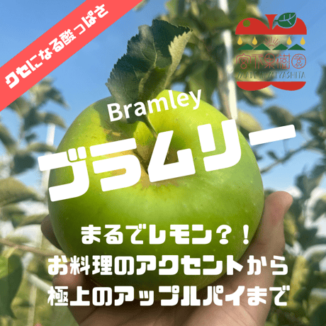 【まるでレモン?!】 【極上のアップルパイ】ブラムリーアップル 約1㎏〜4.5㎏箱(約3玉〜25玉) 【9月上旬以降発送開始】【クール便】