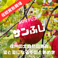 新春【蜜と密に】【1月中旬〜下旬 順次発送】【園主厳選】信州伝統完熟サンふじ  1〜10kg箱 【送料無料】
