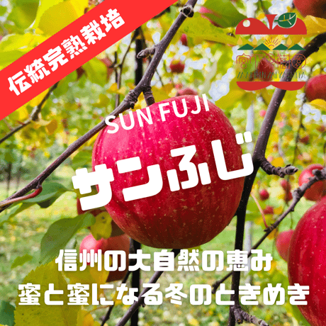 新春【蜜と密に】【1月中旬〜下旬 順次発送】【園主厳選】信州伝統完熟サンふじ  1〜4.5kg箱