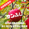 新春【蜜と密に】【1月中旬〜下旬 順次発送】【園主厳選】信州伝統完熟サンふじ 1〜10kg箱 【送料無料】