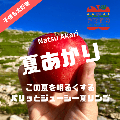 【予約販売】【8月中旬頃〜お届け】【子供も大好き】【パリッとジューシー】夏あかり 約1〜10kg  (3〜46玉) 【贈答レベル家庭用】【本州送料無料・クール便 】