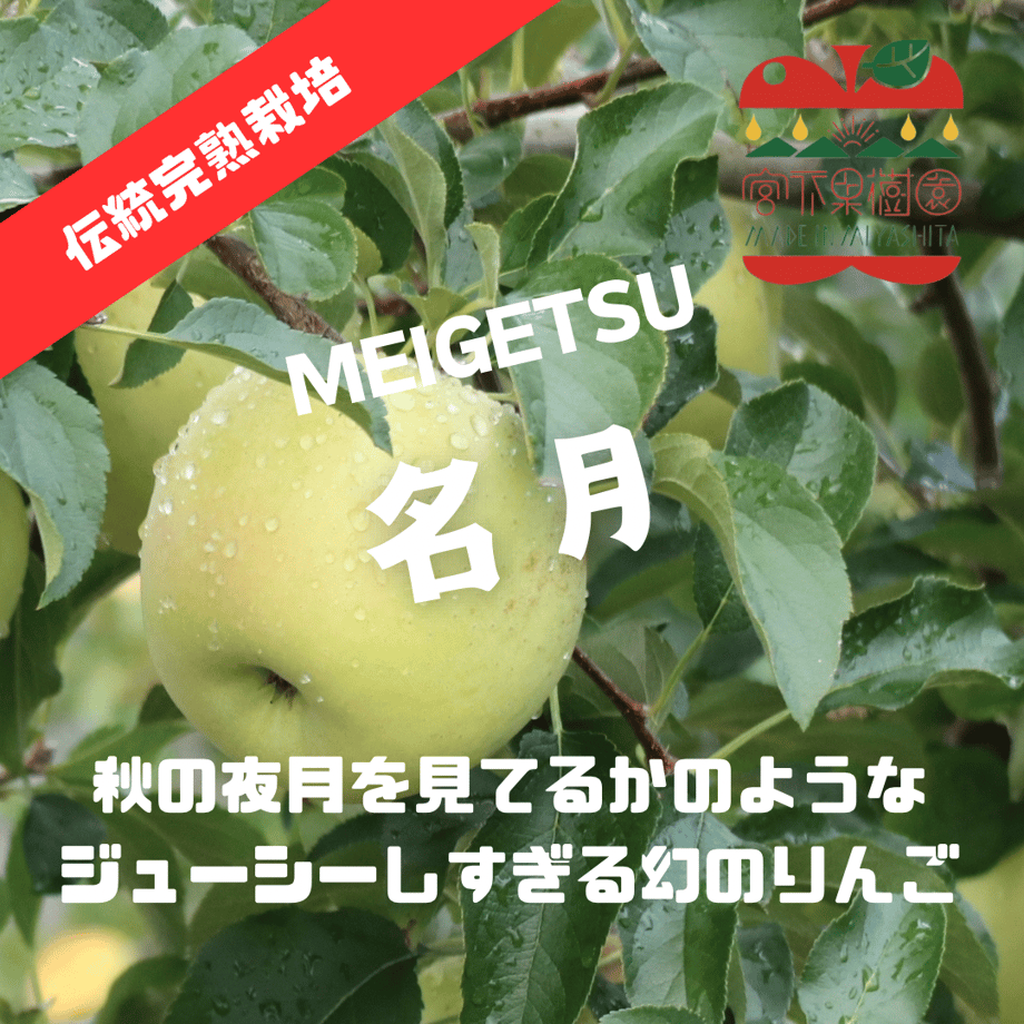 674713083fed3c0a7ea829a6