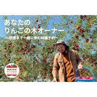 【林檎予約】あなたの林檎の木オーナー 〜収穫までを一緒に歩む林檎予約〜
