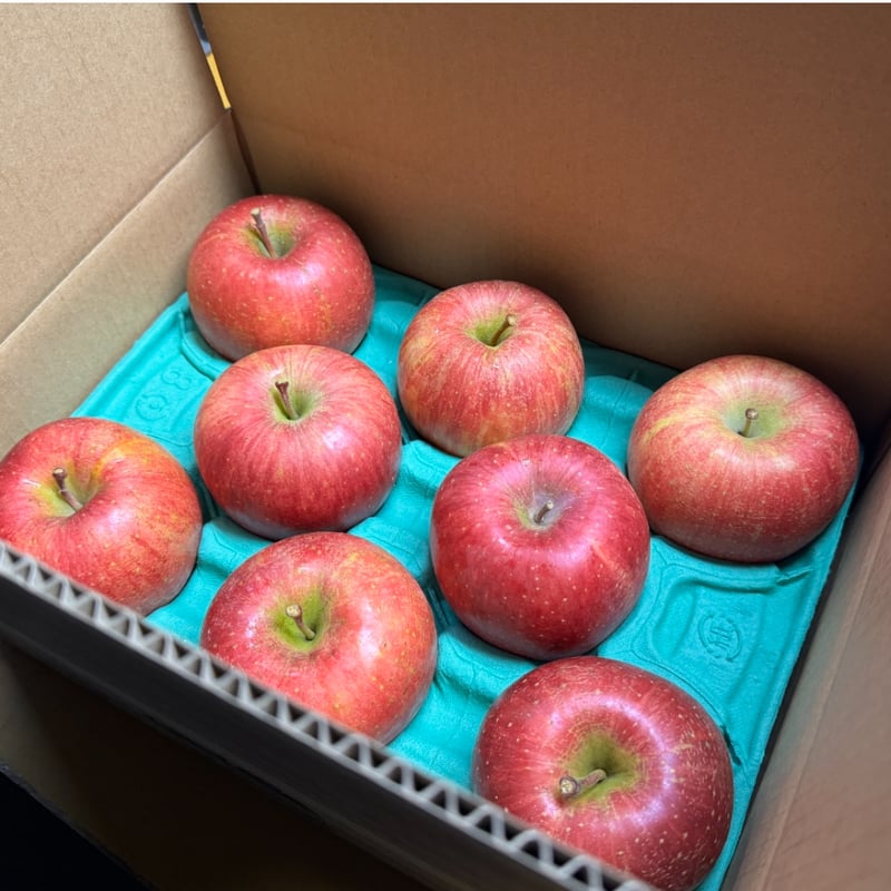 大好評により〆切延長】【林檎の木オーナー】