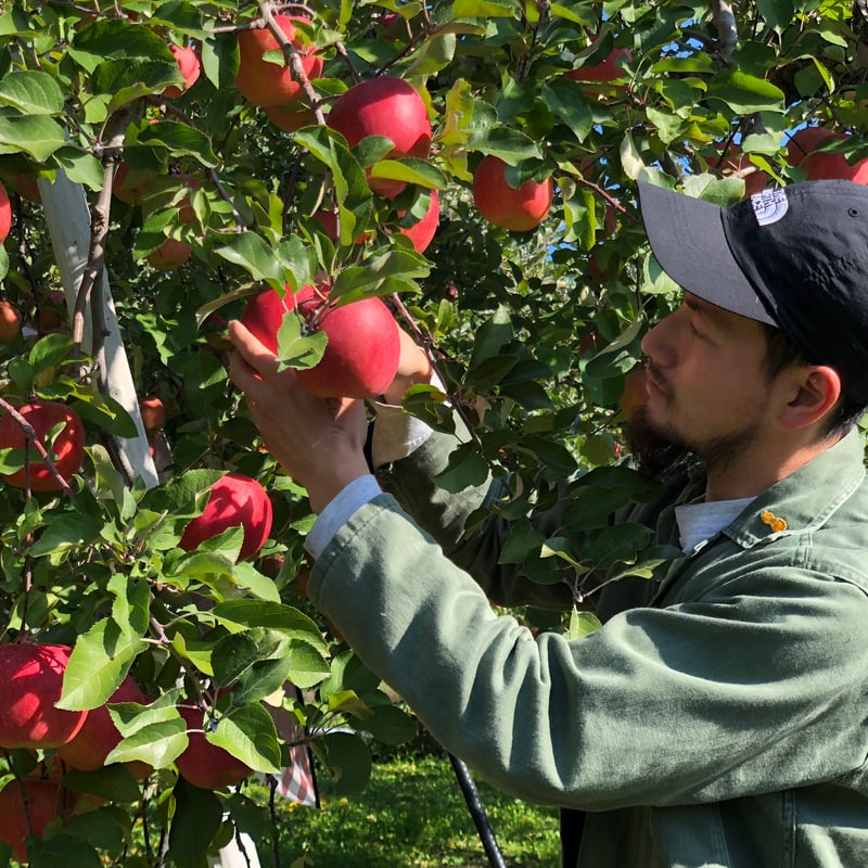 マツコの知らない世界】【12月下旬〜から順次発送】【ジューシーすぎる