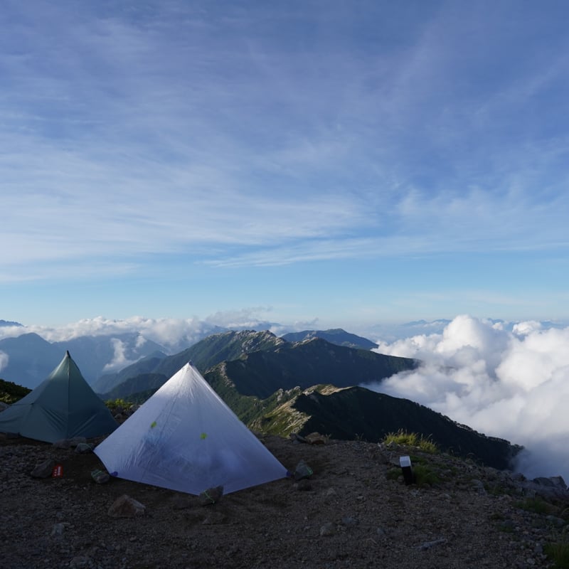 ワッサースイートリッチ家庭用10キロ 8月上旬 ワッサー 10キロ | くだもの,ワッサー | Su-eat Farm