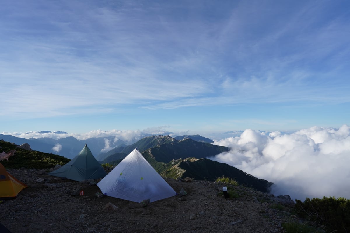 ❤︎ キズあり（小さめ含む）ワッサー 12Kg クール便 早生ワッサー 約2.8kg 9～13玉 ［おぶせファーマーズ］果物 フルーツ