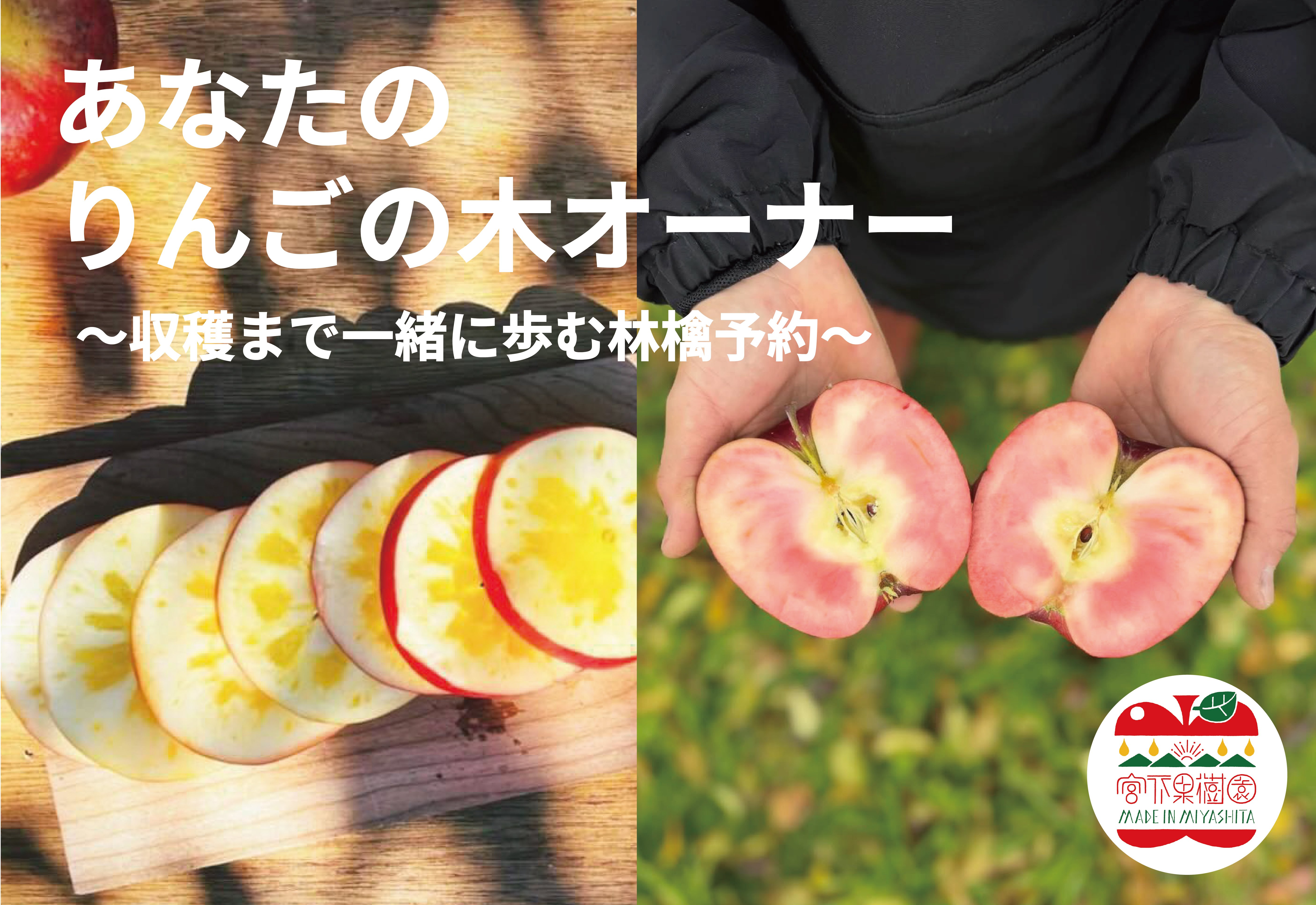 感動の林檎予約・再募集