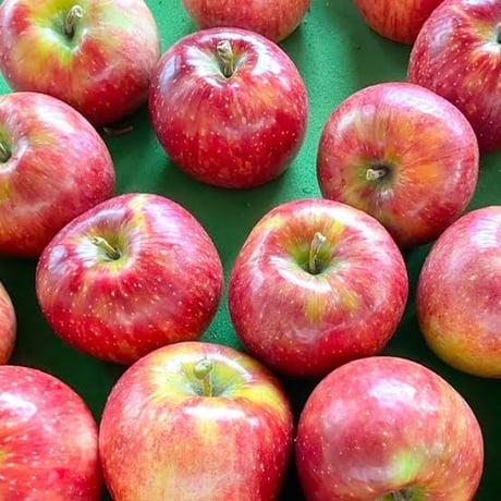 【予約販売】【8月中旬頃〜お届け】【子供も大好き】【パリッとジューシー】夏あかり 約1〜10kg  (3〜46玉) 【贈答レベル家庭用】【本州送料無料・クール便 】