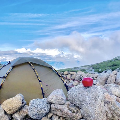 【予約販売】【8月中旬頃〜お届け】【子供も大好き】【パリッとジューシー】夏あかり 約1〜10kg  (3〜46玉) 【贈答レベル家庭用】【本州送料無料・クール便 】