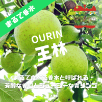 【11月中旬〜から順次発送】【まるで食べる香水】【信州プレミアム】 王林  約1〜10kg箱 【送料無料】