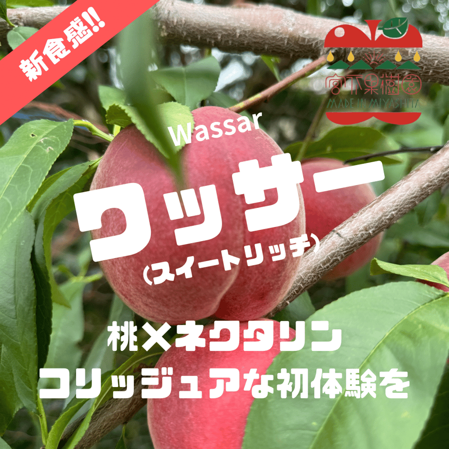 66c1a51815680f0f5cafd00d