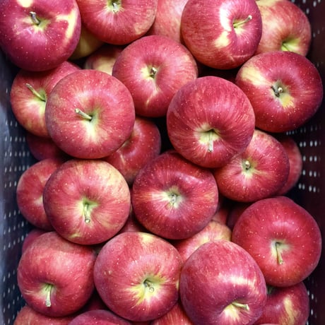 【まるでリンゴ酢】信州プレミアムアップルジュース1ℓ【紅玉】