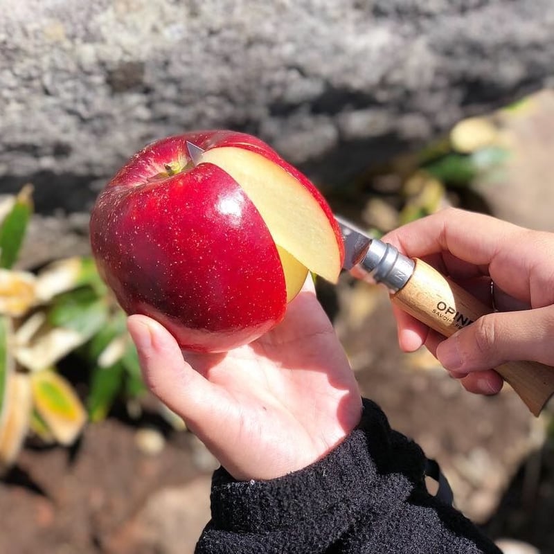 オススメ　本州宛配送限定　信州産リンゴ　３種類セット　約15キロ オススメ 本州宛配送限定 信州産リンゴ 3種類セット 約15キロ