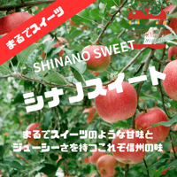 【11月中旬〜から順次発送】【まるでスイーツ】【信州プレミアム】 シナノスイート  1〜15kg箱 【送料無料】