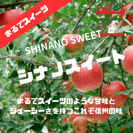 【11月中旬〜から順次発送】【まるでスイーツ】【信州プレミアム】 シナノスイート  1〜15kg箱 【送料無料】