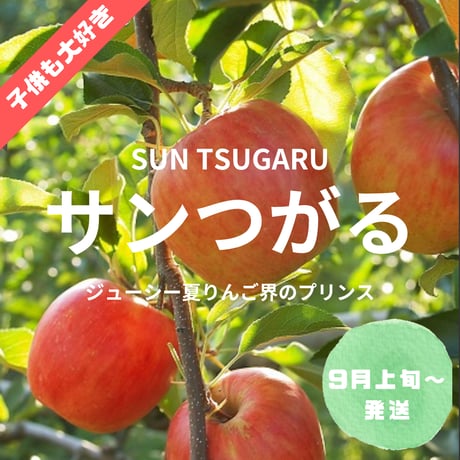 【夏林檎のプリンス・食べるジュース】サンつがる 約1㎏〜4.5㎏箱(約4玉〜23玉)