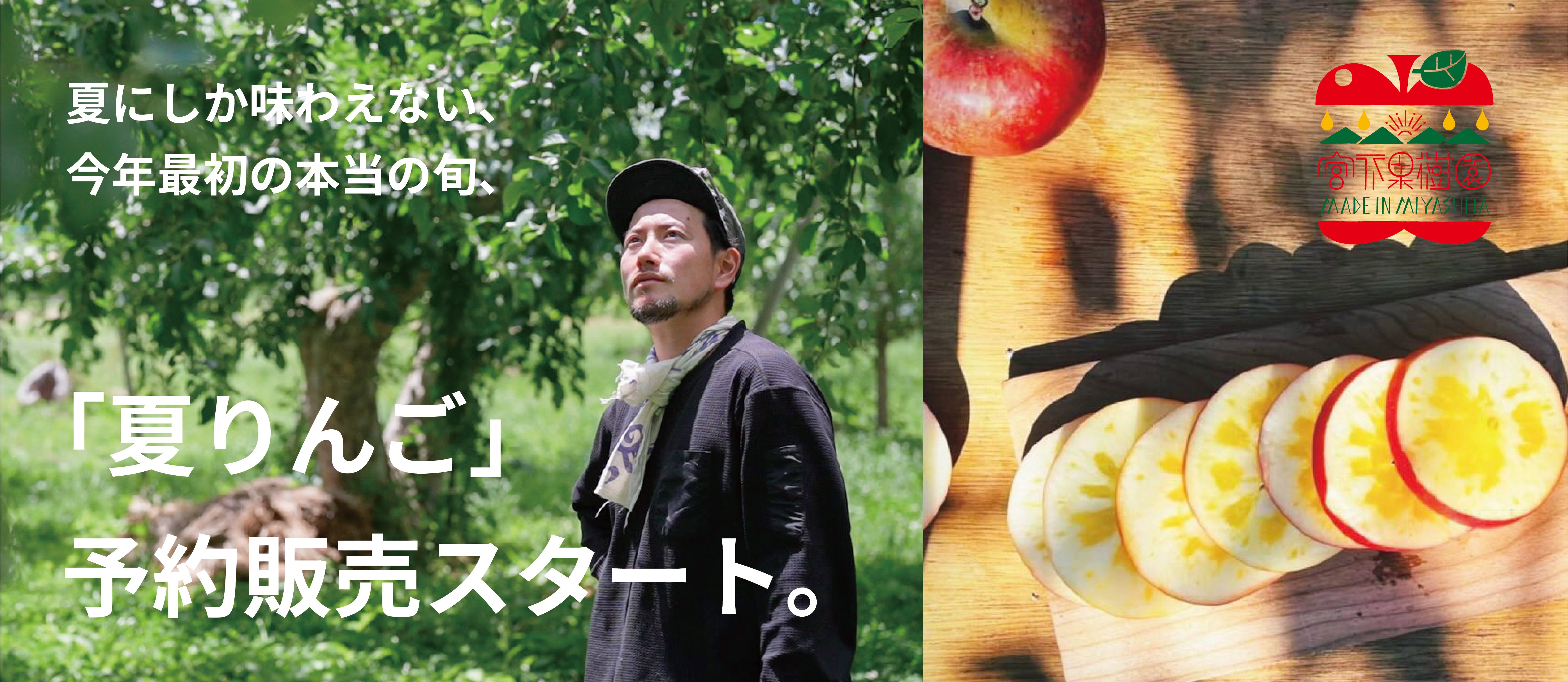 夏りんご予約スタート