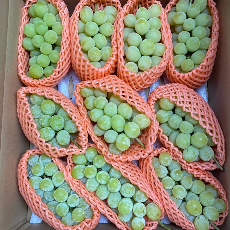 予約販売】【10月下旬以降～発送】【信州プレミアム】【シャインニーナ