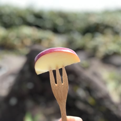 【予約販売】【8月中旬頃〜お届け】【子供も大好き】【パリッとジューシー】夏あかり 約1〜10kg  (3〜46玉) 【贈答レベル家庭用】【本州送料無料・クール便 】