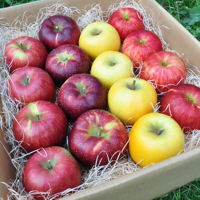 まるで洋梨】信州プレミアムアップルジャム400g 【シナノゴールド