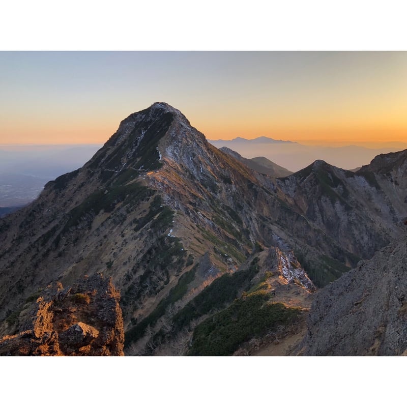 THE濃厚】信州プレミアムアップルジャム400g 【秋映】 | 宮下果樹園