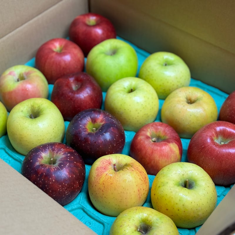 信州プレミアム】【園主厳選4種類以上】【信州林檎セレクション