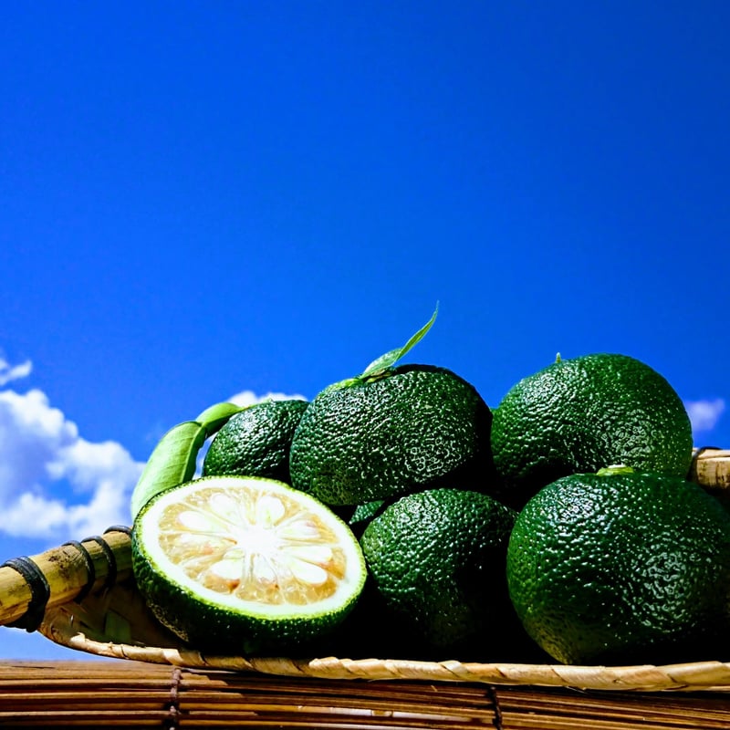 手作り柚子胡椒用】天空の青柚子 10kg | 天空の柚子胡椒