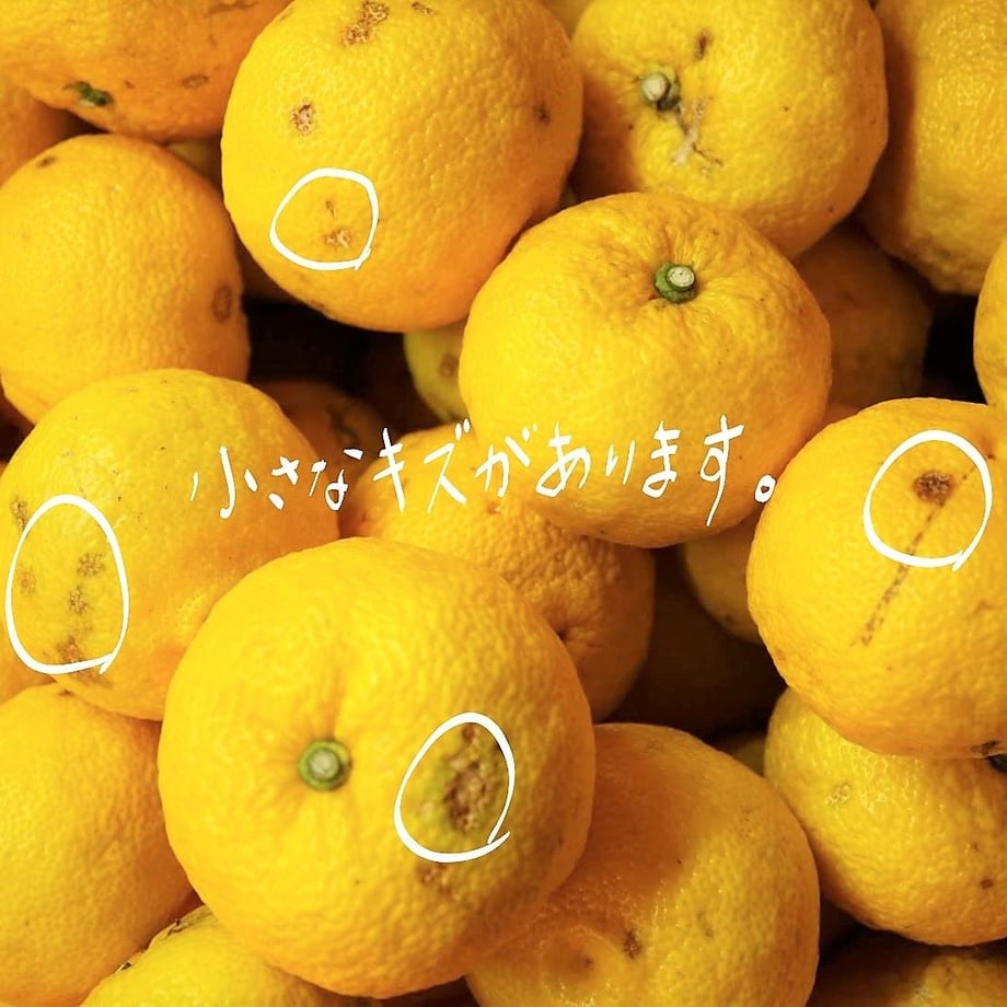 5be0551f626c843cea0000a4