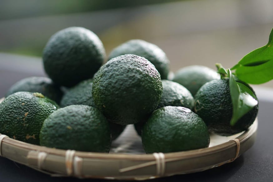 2025年産天空の青柚子の予約販売スタートです！ | 天空の柚子胡椒