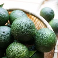 【手作り柚子胡椒用】天空の青柚子　3kg
