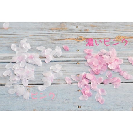 SAKURA・フラワーペダル（撮影小物）