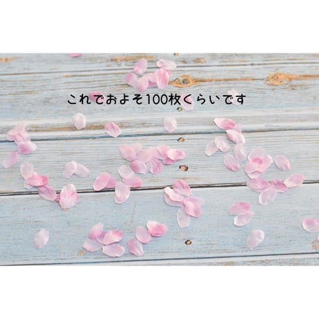 SAKURA・フラワーペダル（撮影小物）