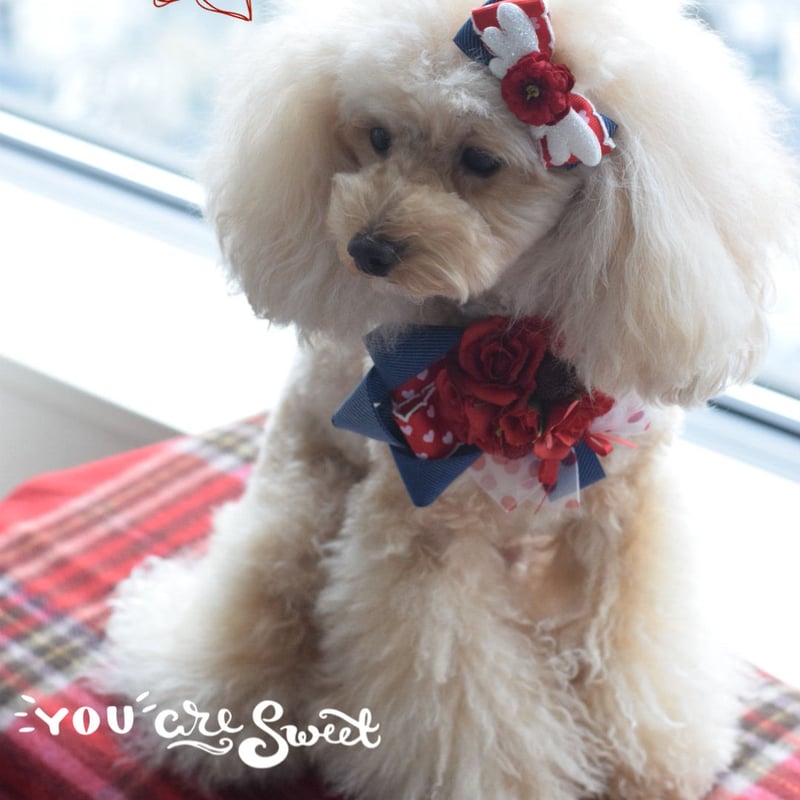 バレンタイン♡チョーカー | m@rihana