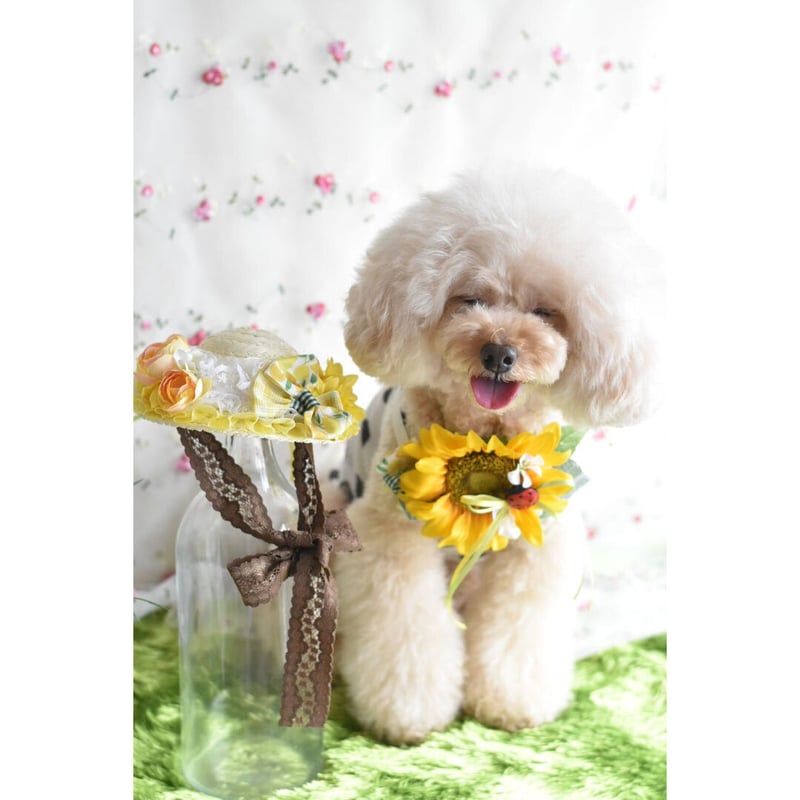 mili★★ひまわりDXチョーカー 限定】デニムひまわりチョーカー &リボン | m@rihana