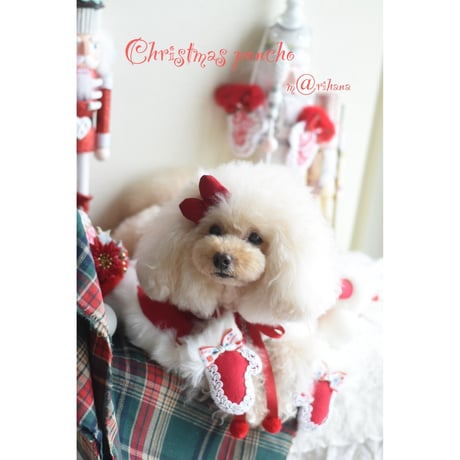 【ファイナルご予約】クリスマス🎄サンタポンチョ