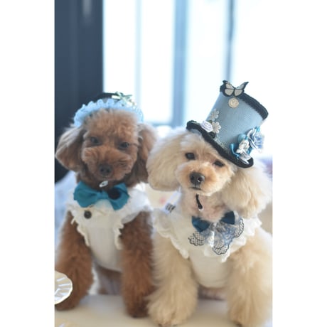 Wonder hat 〜tea party〜