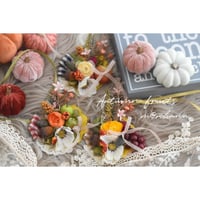 【限定】Autumn🍇🍎フルーツチョーカー