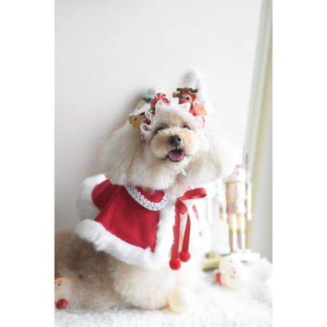 【ファイナルご予約】クリスマス🎄サンタポンチョ
