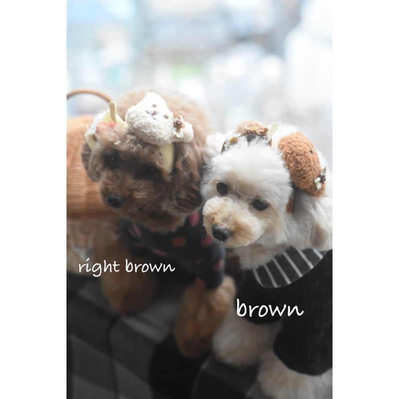 限定】クマ🐻ヘアバンド | m@rihana