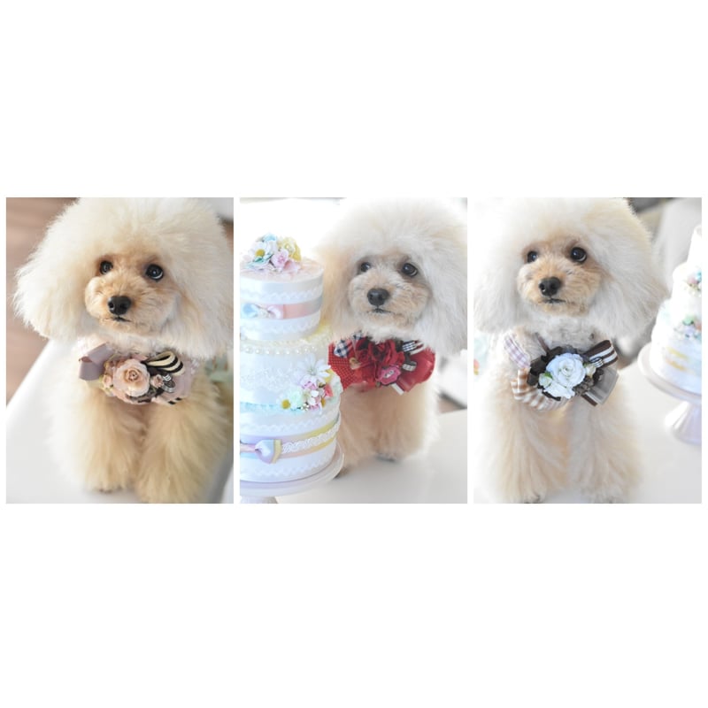 限定】バレンタインチョーカー（改訂版） | m@rihana