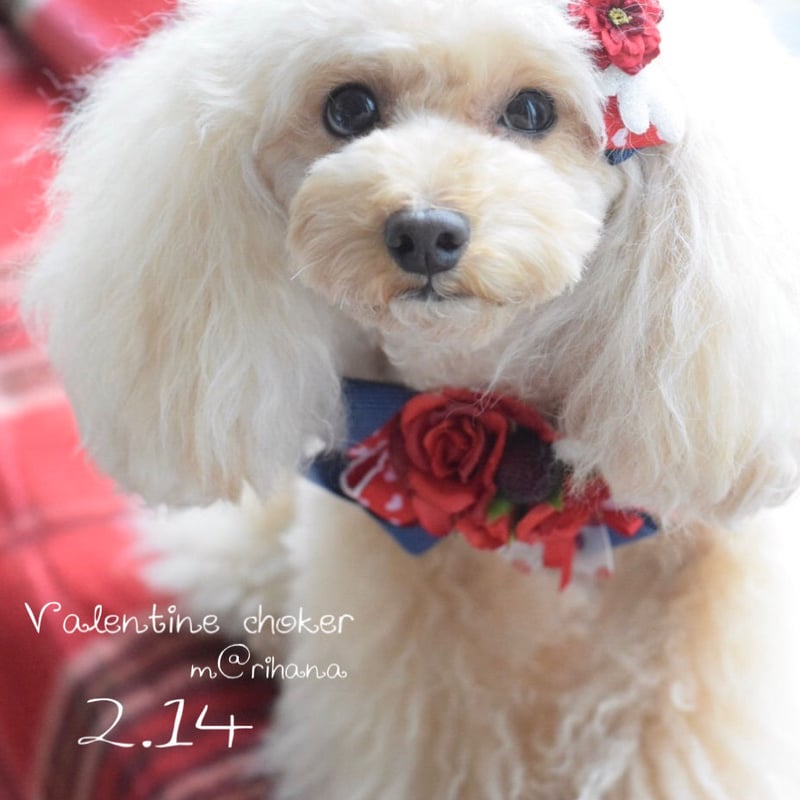 バレンタイン♡チョーカー | m@rihana