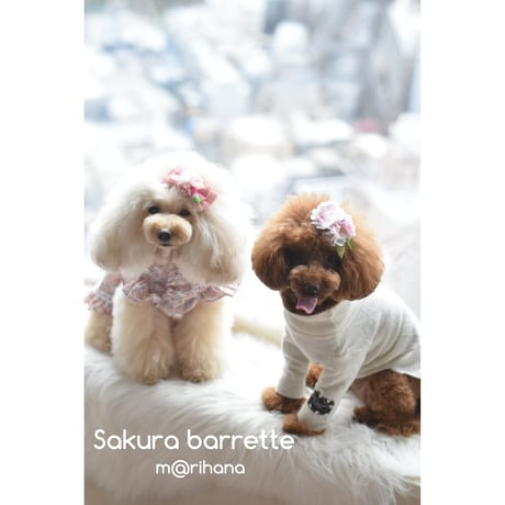 【限定】お花見🍡さくら🌸リボンバレッタ