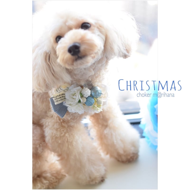 クリスマス・ホワイト＆ブルーチョーカー・ワンちゃん用 | m@rihana